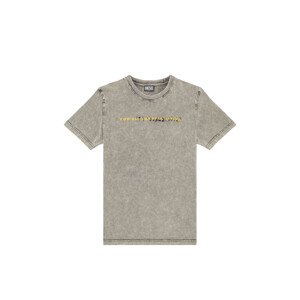 Tričko diesel t-diegor-e5 t-shirt šedá l