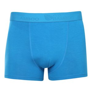 Pánské boxerky Gino modré (73126) L
