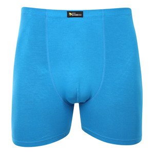 Pánské boxerky Gino modré (74159) L