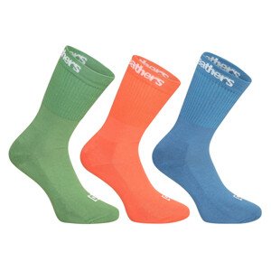 3PACK ponožky Horsefeathers vícebarevné (AA547G) M