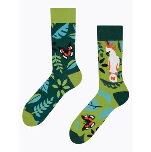 Veselé ponožky Dedoles Ptáčci z džungle (GMRS244) M