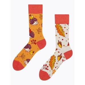 Veselé ponožky Dedoles Podzimní ježek (GMRS143) S