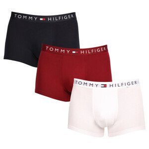 3PACK pánské boxerky Tommy Hilfiger vícebarevné (UM0UM03181 0SZ) XXL