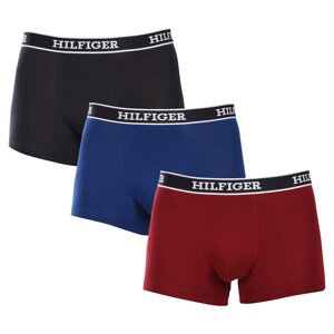 3PACK pánské boxerky Tommy Hilfiger vícebarevné (UM0UM03185 0SX) XL